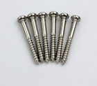 6 Pcs/Set Guitar Bridge Tremolo Screws For Fender,G&L,Ibanez,Suhr,Cort,Squier