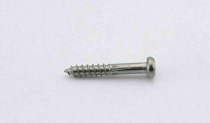 6x Guitar Titanium Tremolo Bridge Screws Fit Schecter,Ibanez,Fender,Cort,Squier